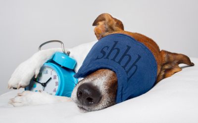 How to talk about sleep