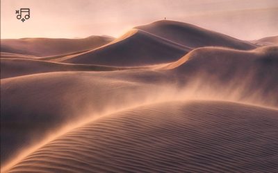 DUNE by Frank Herbert