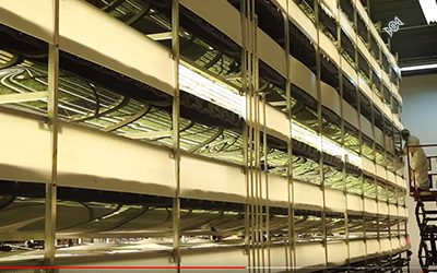 The Farm of the Future