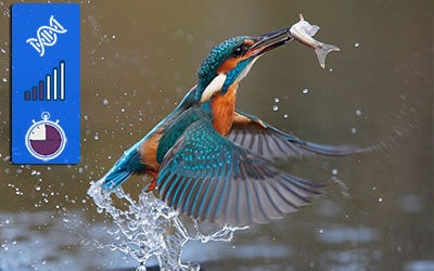 The world is poorly designed. But copying nature helps.