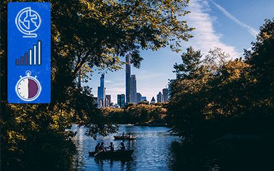 What happens if you cut down all of a city’s trees