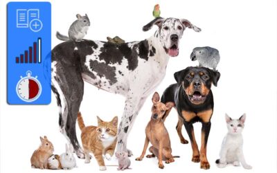 Expressions with animals