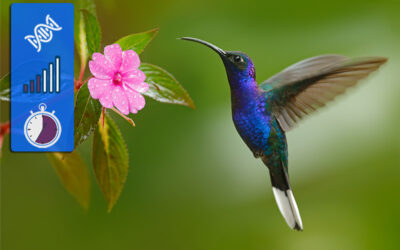 How wildlife films warp time