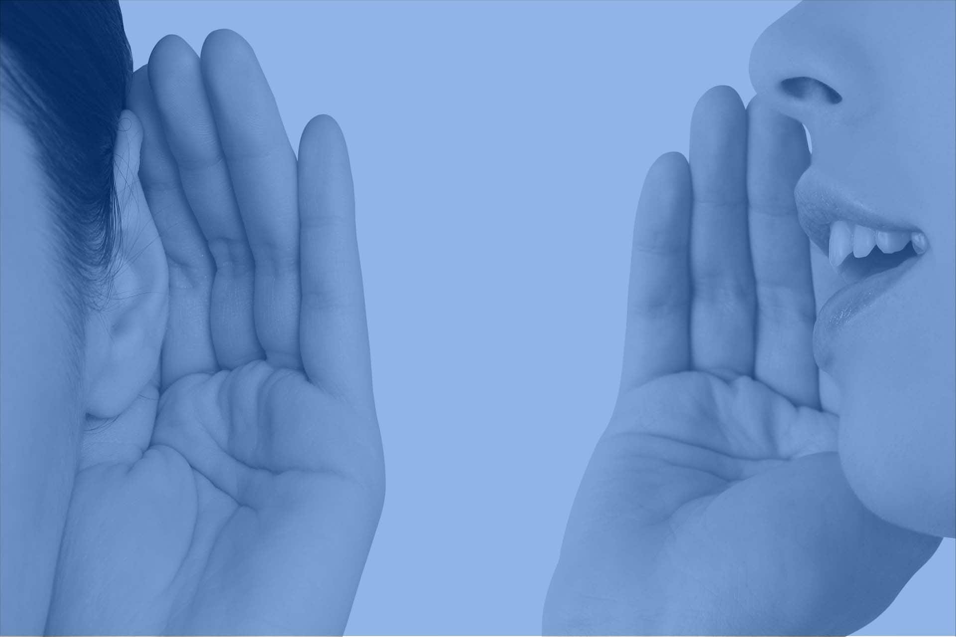 The Blue Tree - Blog - Four secrets of language learning