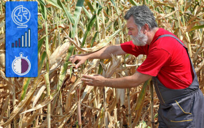 WORDS IN THE NEWS – Receding Water Levels Unveil Ancient Remains