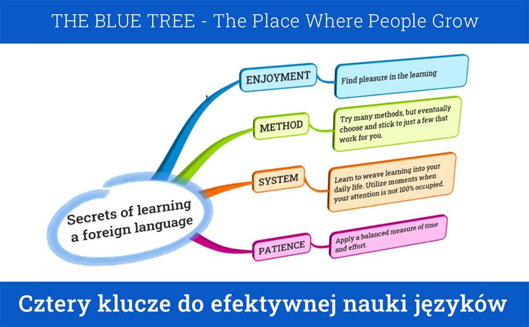 The Blue Tree - Blog - Four secrets of language learning