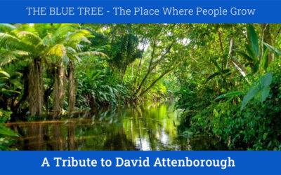 A Tribute to David Attenborough – Free lesson