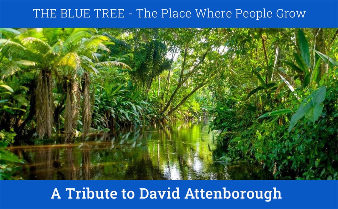 TBT - A tribute to David Attenborough - free lesson TBT - Naśladuj najlepszych - ćwicz wymowę z ElevenLabs